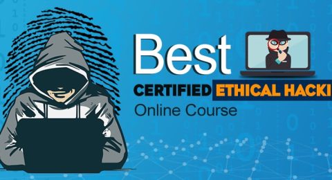 certified ethical hacker course online
