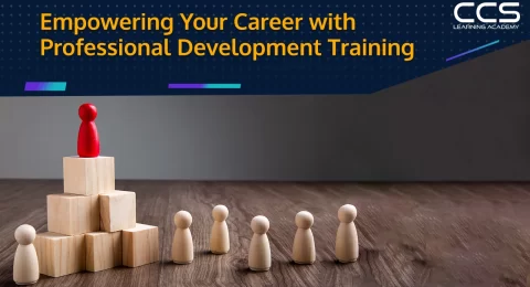 Professional development training