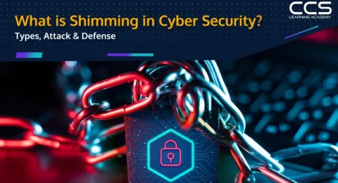 What is Shimming in Cyber Security