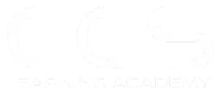 CCS Learning Academy Logo