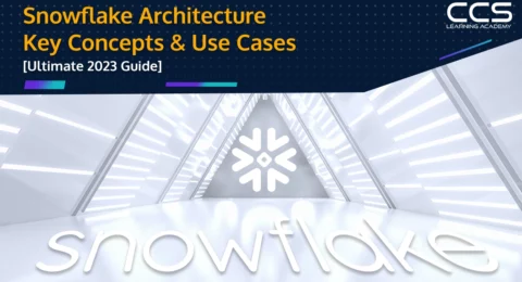 Snowflake Architecture Guide