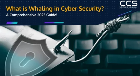 What is Whaling in Cybersecurity