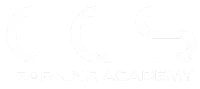 CCS-Learning-Academy-Logo-WHITE