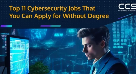 Cybersecurity Jobs That You Can Apply for Without Degree