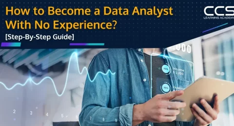How to Become a Data Analyst With No Experience