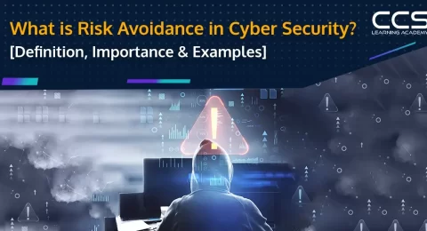 What is Risk Avoidance in Cybersecurity