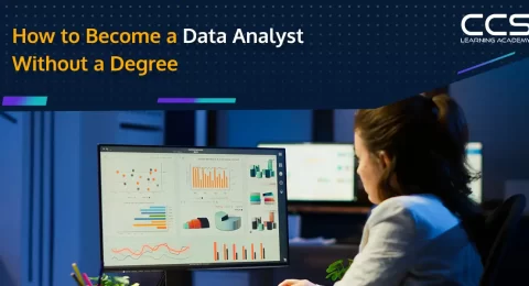 How to Become a Data Analyst Without a Degree