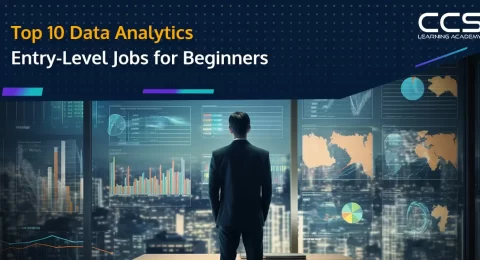 Data Analytics Entry Level Jobs