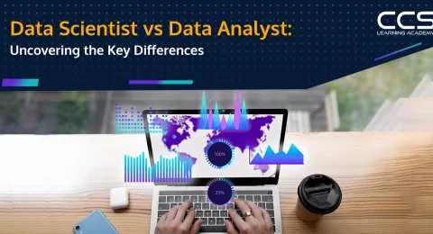 Data Scientist vs Data Analyst