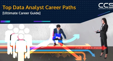 Data Analyst Career Paths