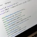 JavaScript