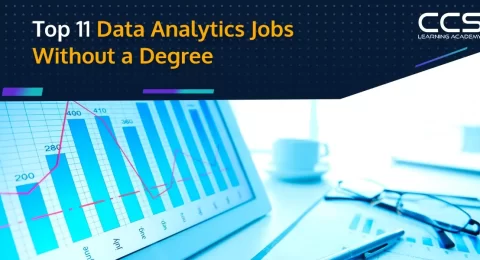 Data Analytics Jobs Without a Degree (1)