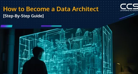 Data architect