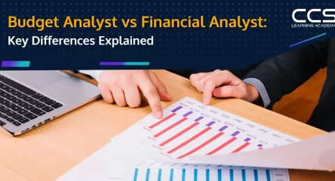 Budget Analyst vs Financial Analyst