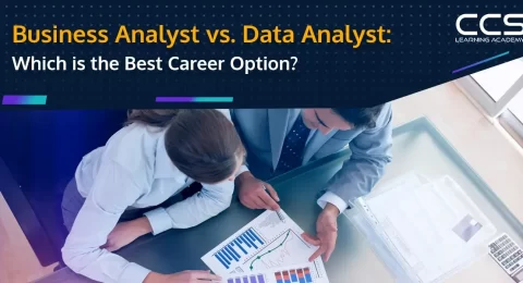 Business Analyst vs Data Analyst