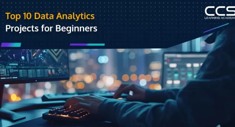 Top Data Analytics Projects for Beginners