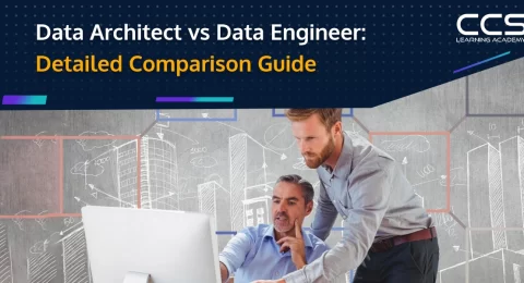 Data architect and data engineer