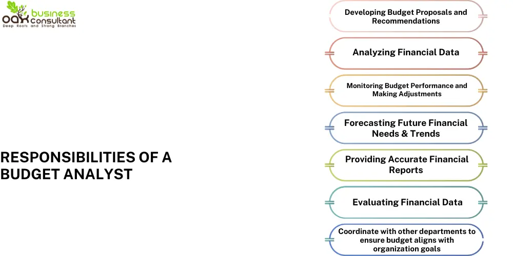 Responsibilities of a budget analyst