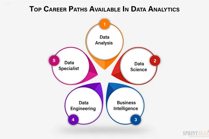 Career paths in data analytics