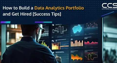 CCSLA data analytics portfolio