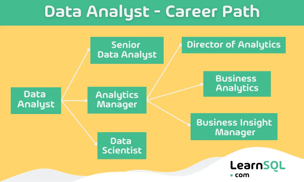 Data analyst career path