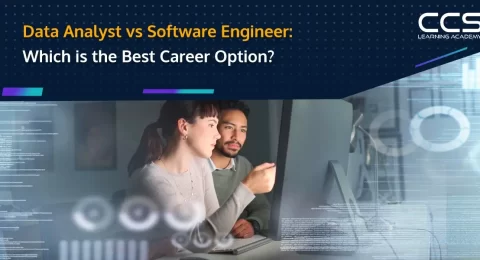 Data Analyst vs Software Engineer