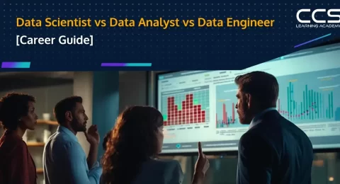 Data Scientist vs Data Analyst vs Data Engineer