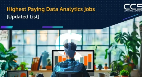 Highest Paying Data Analytics Jobs