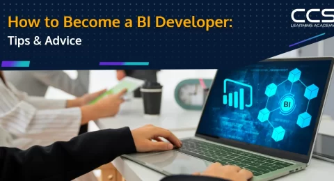 How to become a Power BI Developer