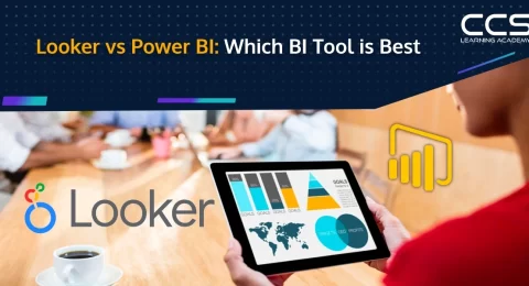 Looker vs Power BI