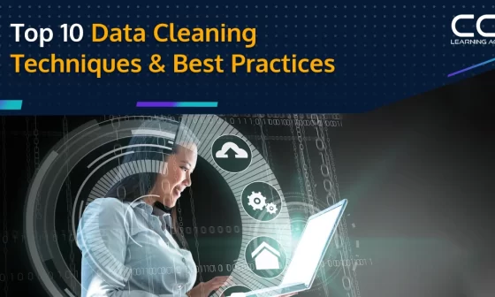 Data Cleaning Techniques