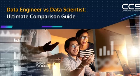 Data Engineer vs Data Scientist