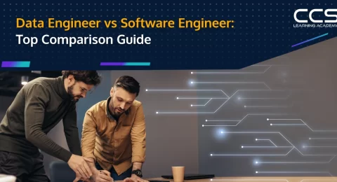 Data Engineer vs Software Engineer