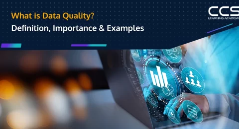 What is data quality